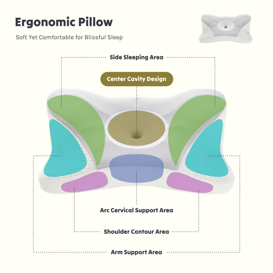 Alpha Sleeps Cervical Neck Pillow