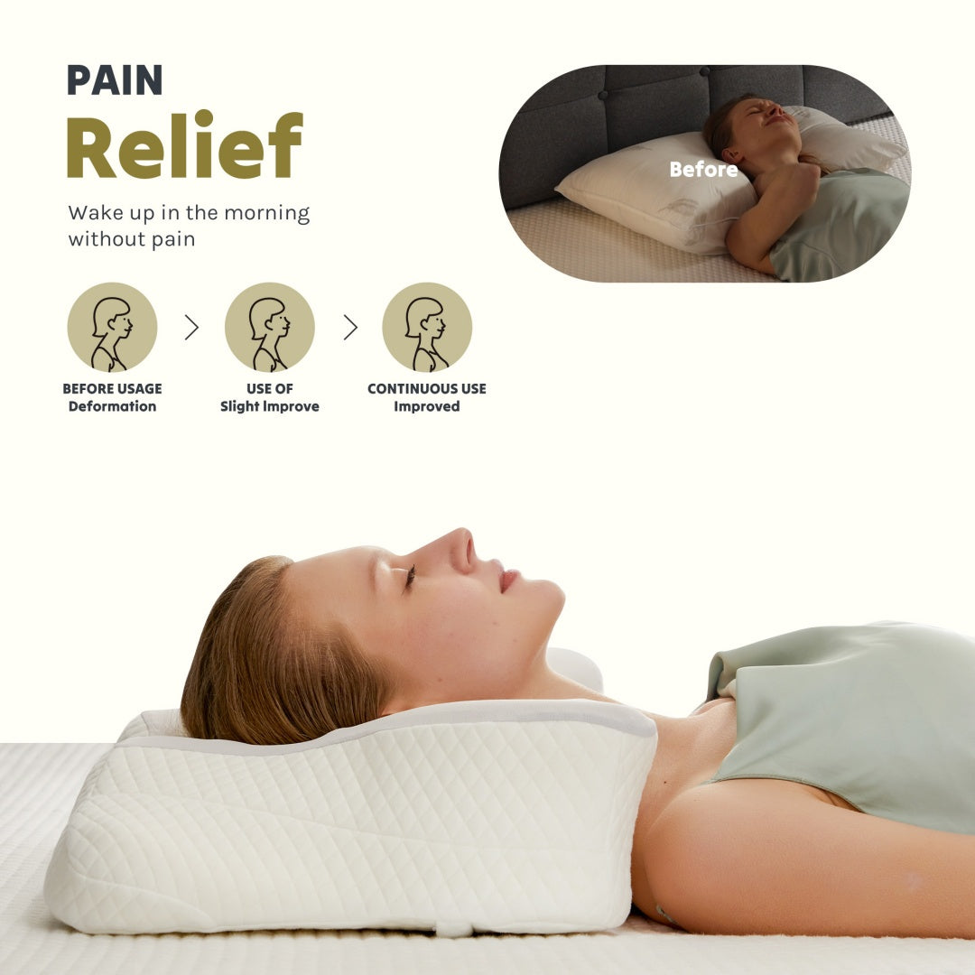 Alpha Sleeps Cervical Neck Pillow