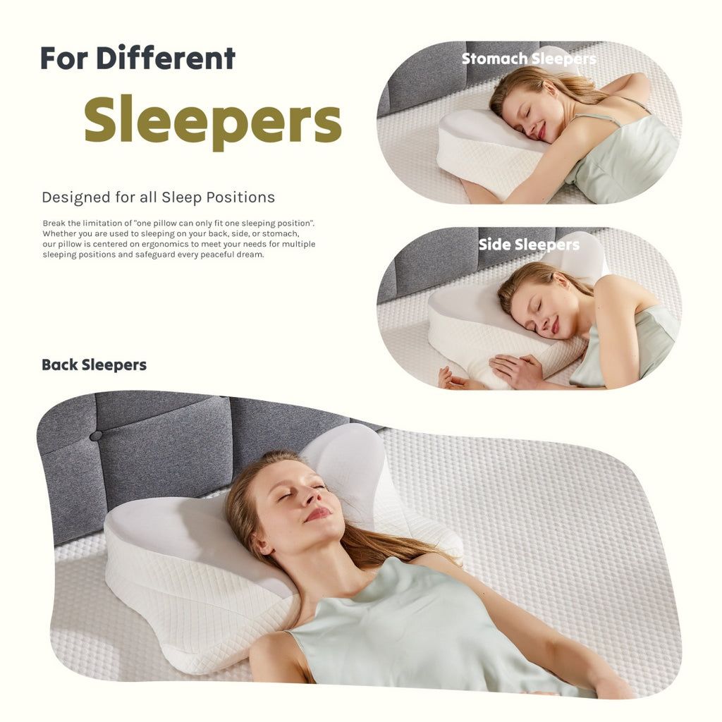 Alpha Sleeps Cervical Neck Pillow